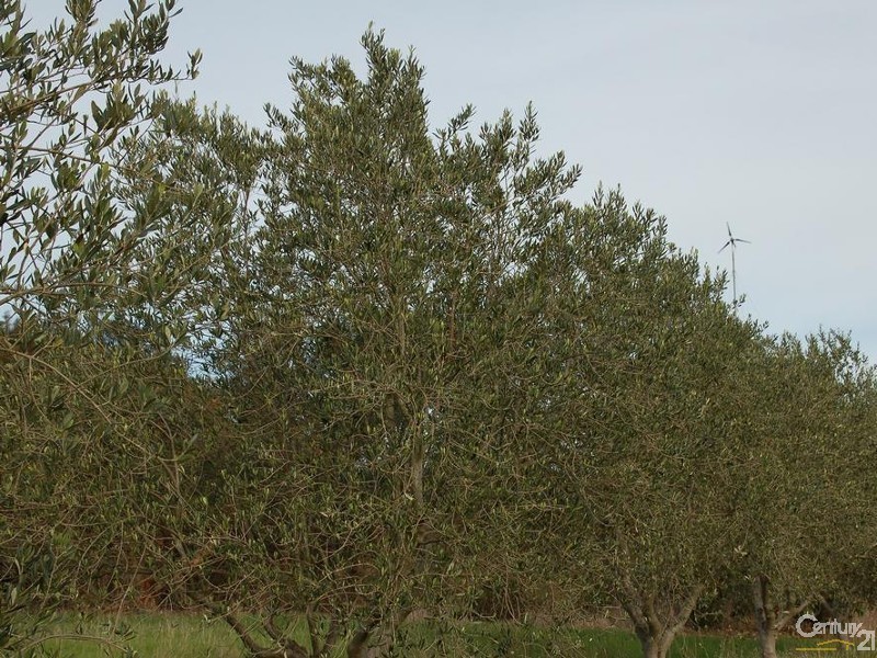 49 Ten Chain Road, French Island VIC 3921