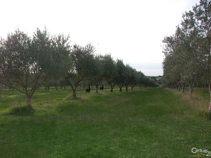 49 Ten Chain Road, French Island VIC 3921