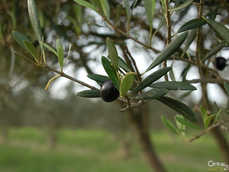 49 Ten Chain Road, French Island VIC 3921