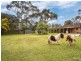 141 Woolleys Road, Bittern VIC 3918