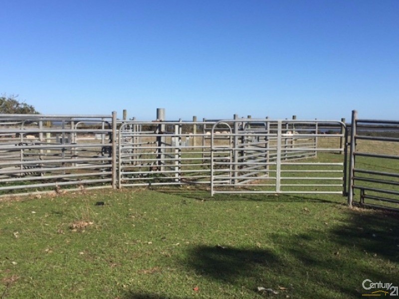 169 Ten Chain Road, French Island VIC 3921