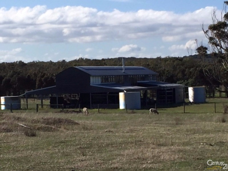 169 Ten Chain Road, French Island VIC 3921