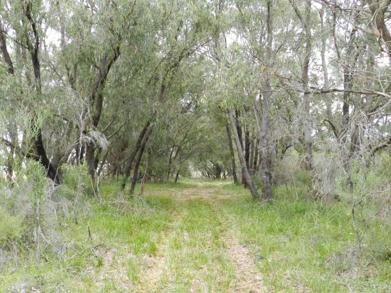 16 17,18 & 19 C.A.’s Scotchmans Road, French Island VIC 3921