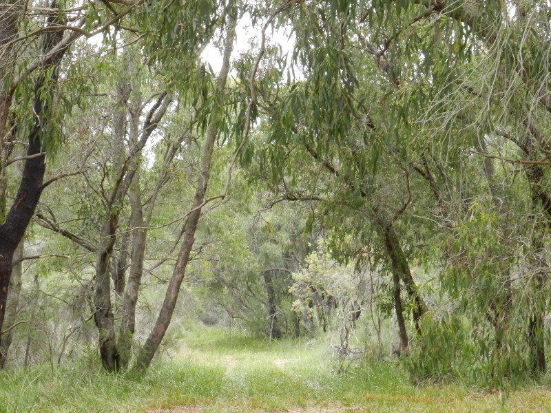 16 17,18 & 19 C.A.’s Scotchmans Road, French Island VIC 3921