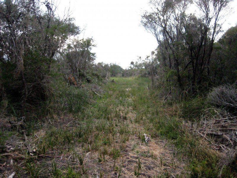 16 17,18 & 19 C.A.’s Scotchmans Road, French Island VIC 3921