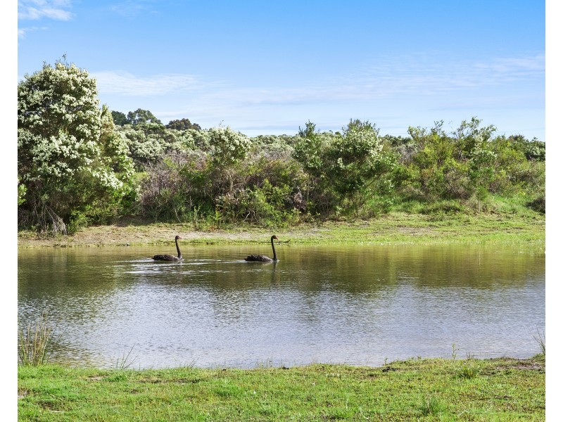 1036 Coast Road, French Island VIC 3921