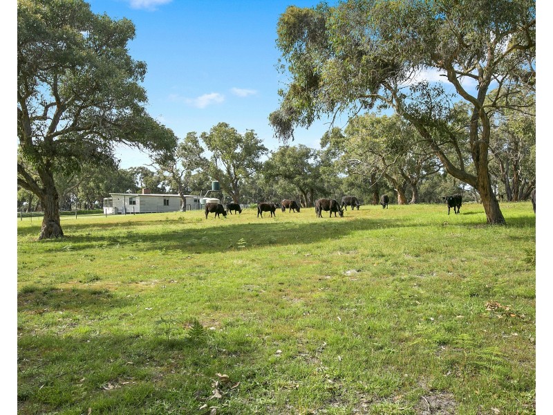 1036 Coast Road, French Island VIC 3921