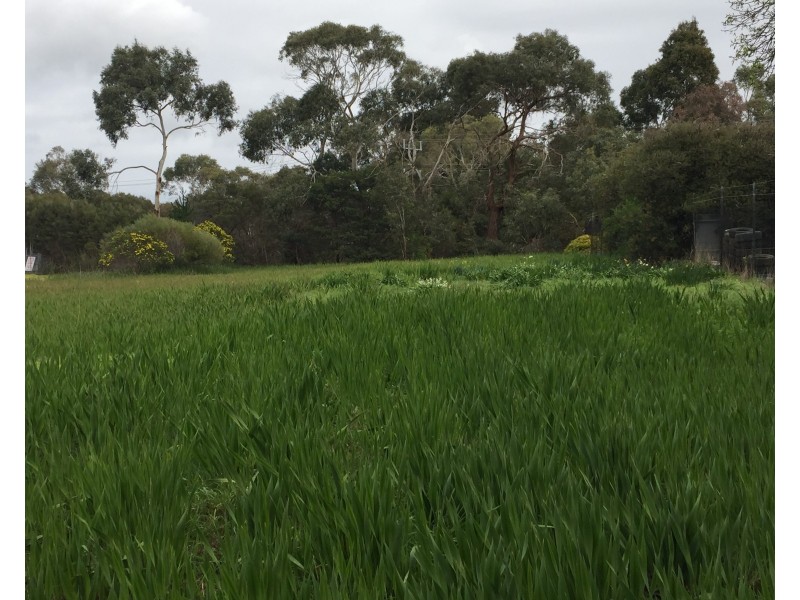 174 Marine Parade, Hastings VIC 3915