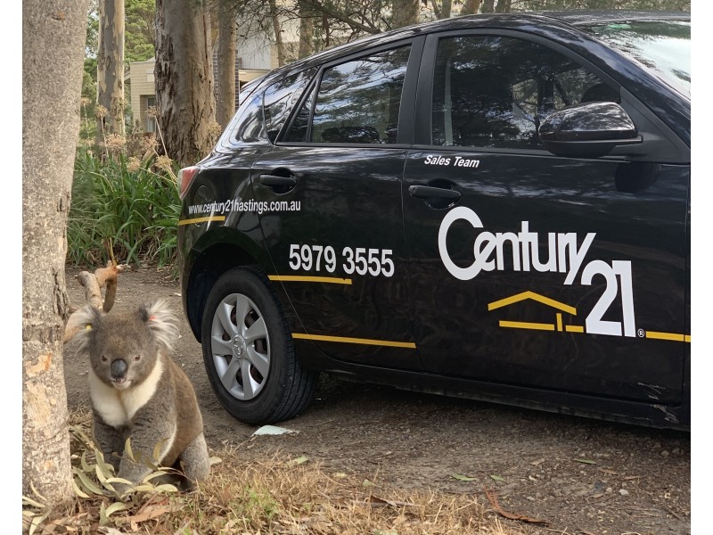 23 Ocean View Crescent, Somers VIC 3927