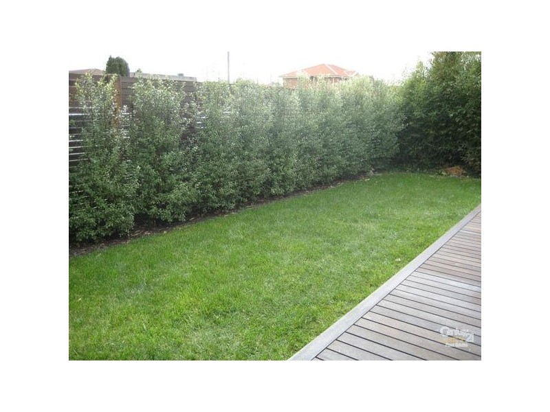 1/2 George Street, Safety Beach VIC 3936