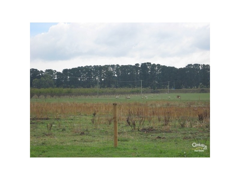 268 Hodgins Road, Hastings VIC 3915