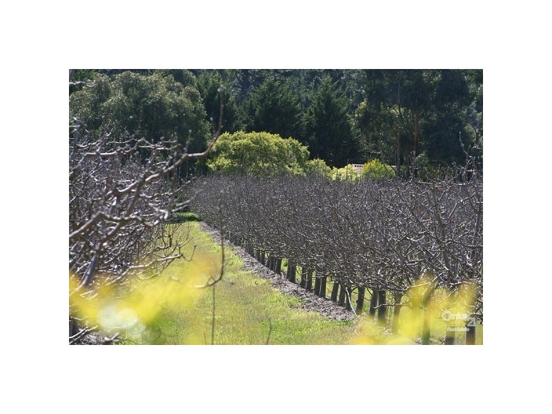 201 Coolart Road, Tuerong VIC 3915