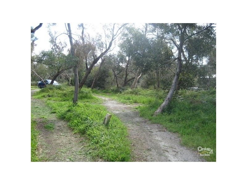 16 Iluka Street, Warneet VIC 3980