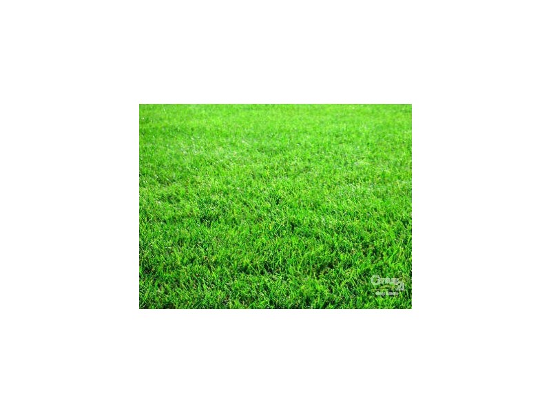 37B Douglas Street, Hastings VIC 3915