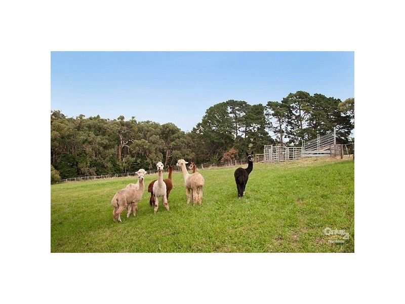 Merricks North VIC 3926