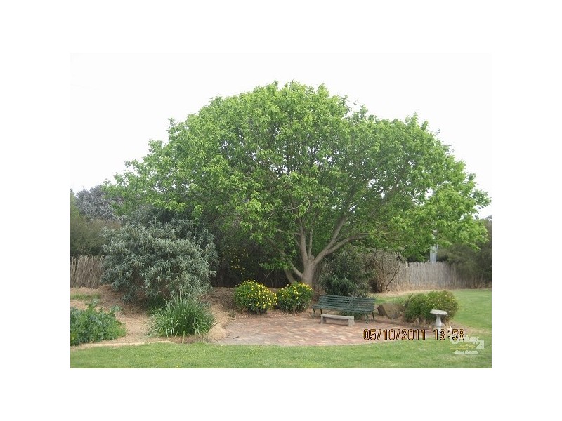 24 Trafalgar Street, Bittern VIC 3918