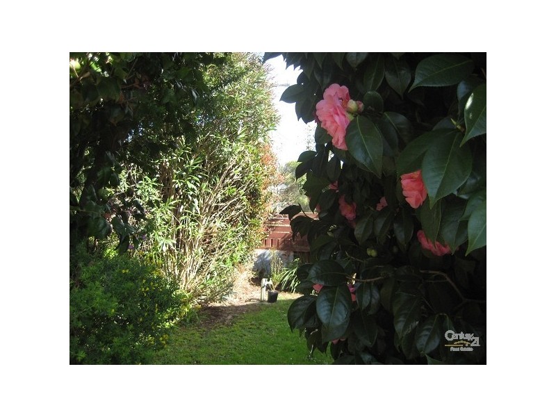 14 SKINNER STREET, Bittern VIC 3918