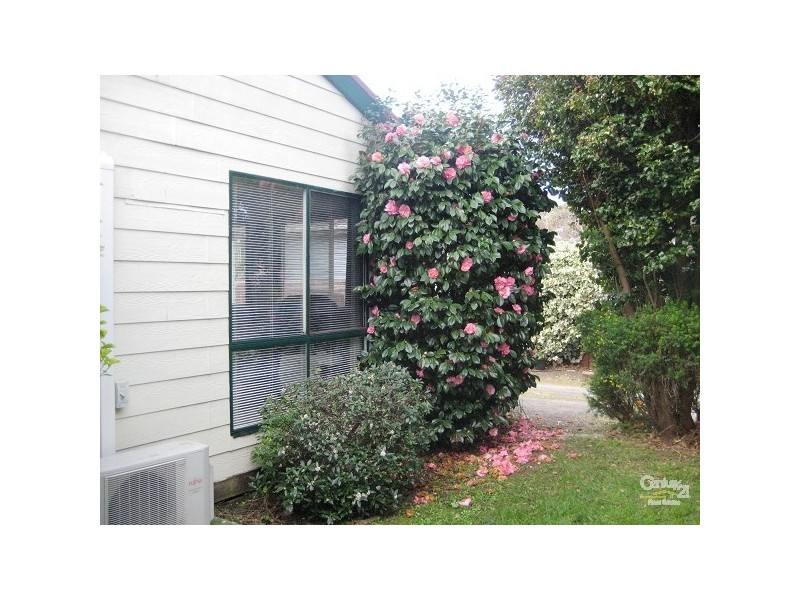 14 SKINNER STREET, Bittern VIC 3918