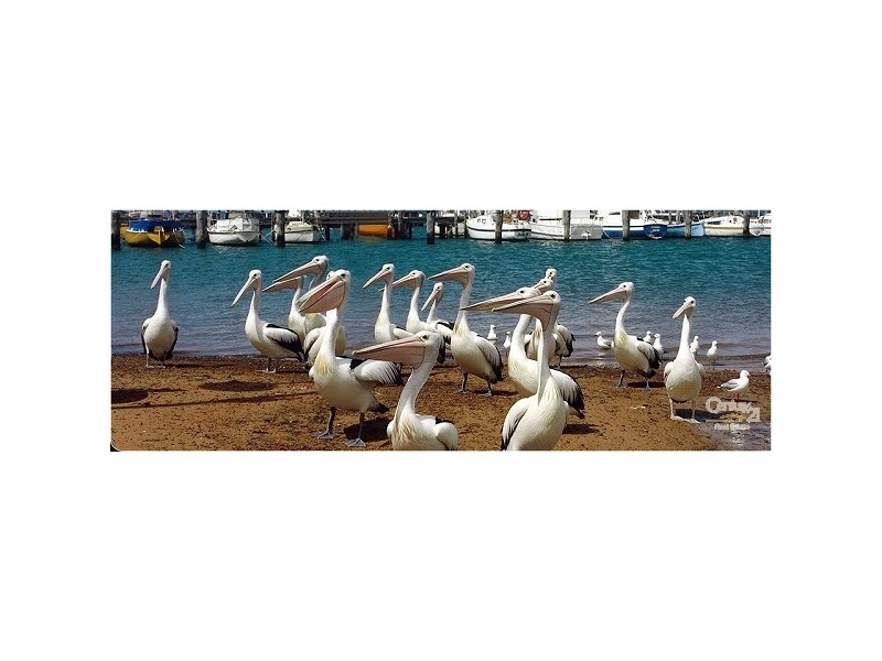 32 William Street, Hastings VIC 3915