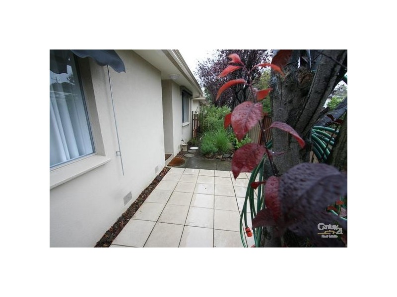 3/14 Martin Street, Hastings VIC 3915