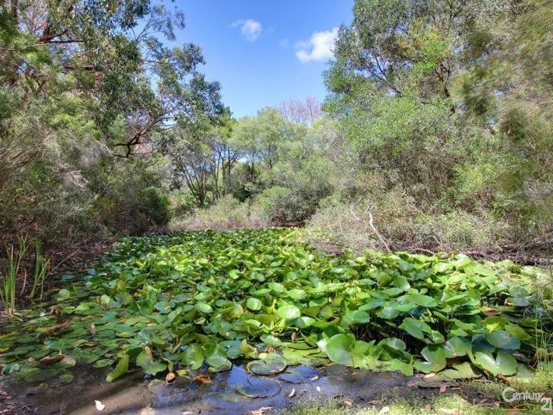 368 Stumpy Gully Road (Cnr. Myers Road) Melway ref 163 E 8, Balnarring VIC 3926
