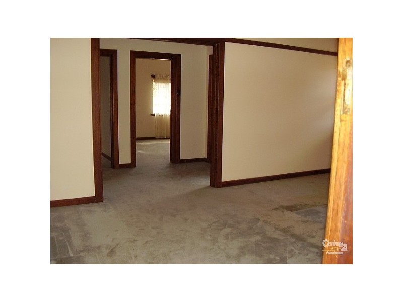 113 Murrumbeena Road, Murrumbeena VIC 3163