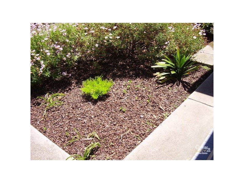 4/17 Maroo Street, Hughesdale VIC 3166