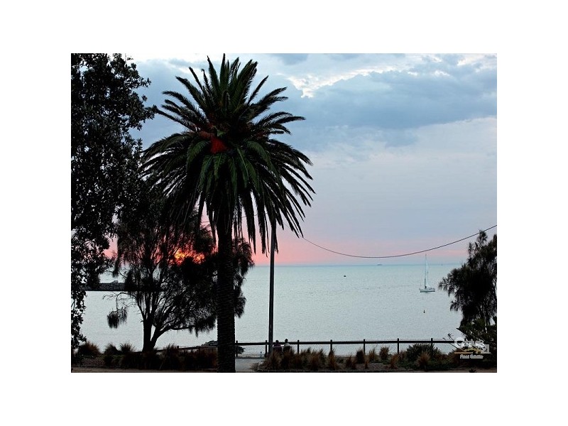 55 Beach Road, Hampton VIC 3188