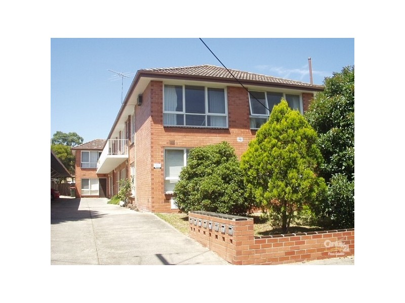 8/48 Rosanna Street, Carnegie VIC 3163