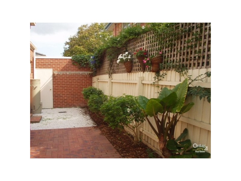 8/502 Neerim Road, Murrumbeena VIC 3163