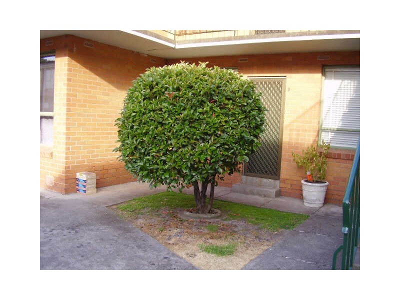 3/38  Woornack Road, Carnegie VIC 3163