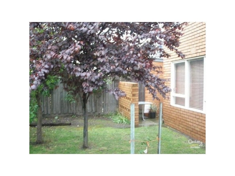 1/19A Truganini Road, Carnegie VIC 3163