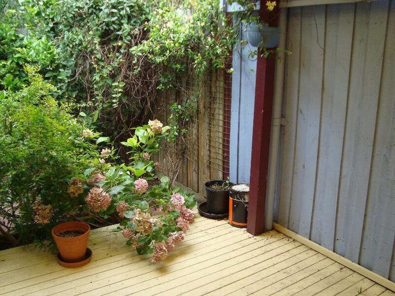 9B  Hewitts Road, Carnegie VIC 3163