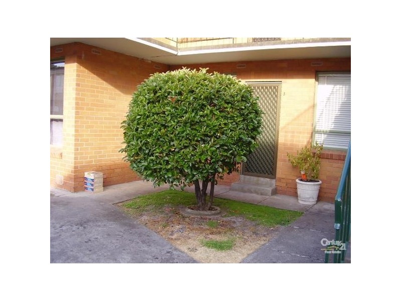 3/38 Woornack Road, Carnegie VIC 3163