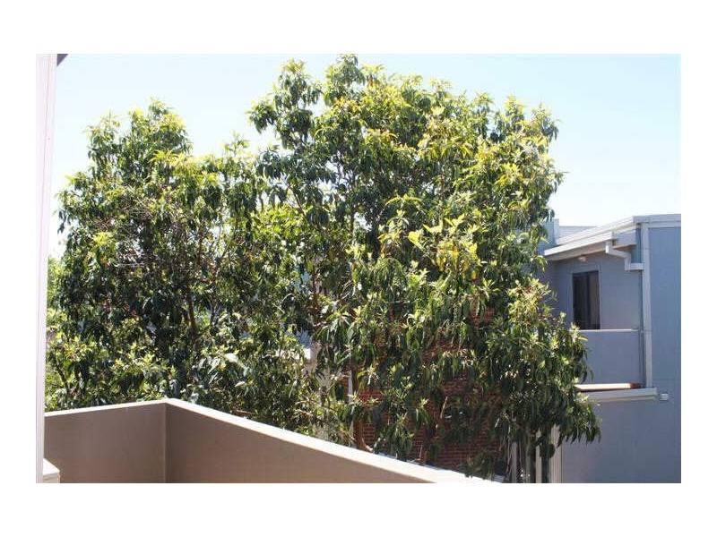 11/7 Dickens Street, Elwood VIC 3184