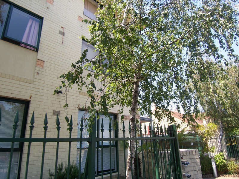 24/72-74  Carlisle Street, St Kilda VIC 3182