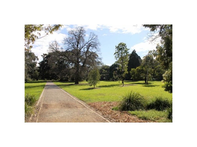 1/31  Dickens Street, Elwood VIC 3184