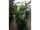 1/105  Grosvenor Street, Balaclava VIC 3183