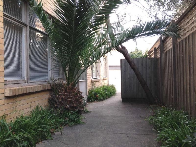 7/19  Pine Avenue, Elwood VIC 3184