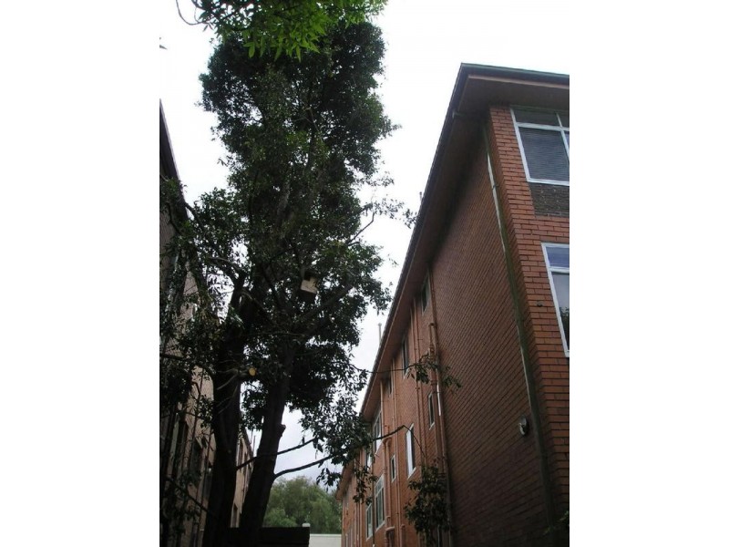 11/18 Robe Street, St Kilda VIC 3182