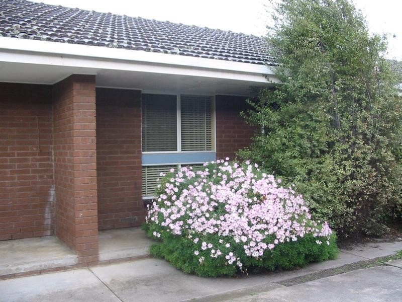 3/26 Lewis Street, Frankston VIC 3199