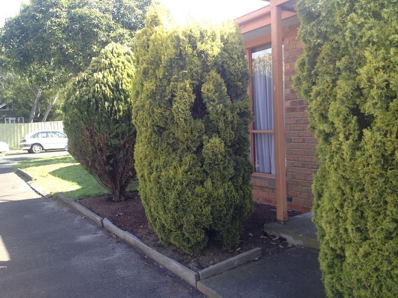 1/12 Neville Street, Seaford VIC 3198