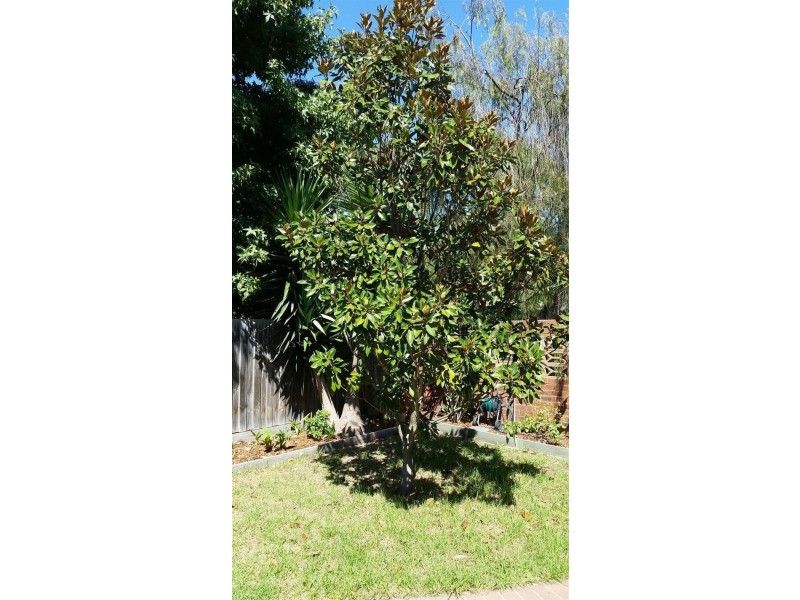 1/15-17 Deane Street, Frankston VIC 3199