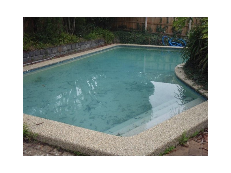 7 Shaxton Circle, Frankston VIC 3199