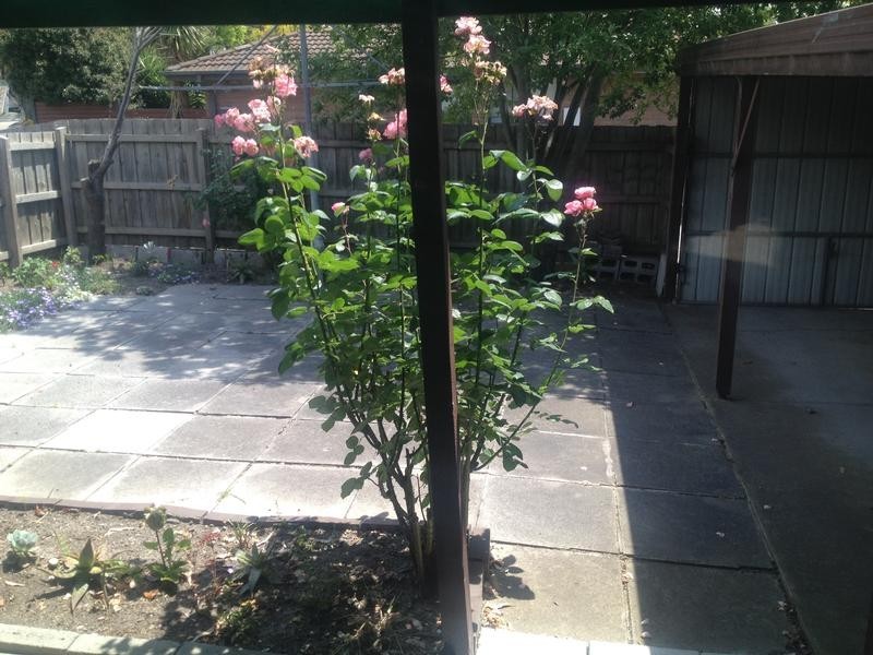 1/17-19 George Street, Frankston South VIC 3199