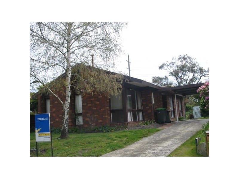 47 Raphael Crescent, Frankston VIC 3199