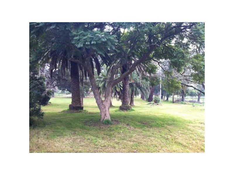 450 Ballarto Road, Skye VIC 3977