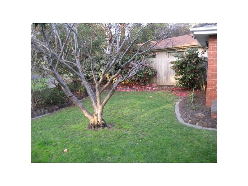 3 Nilma Court, Frankston VIC 3199