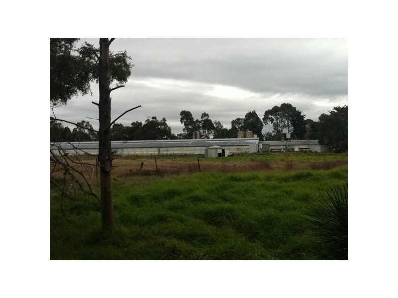 65  Speedwell Street, Somerville VIC 3912