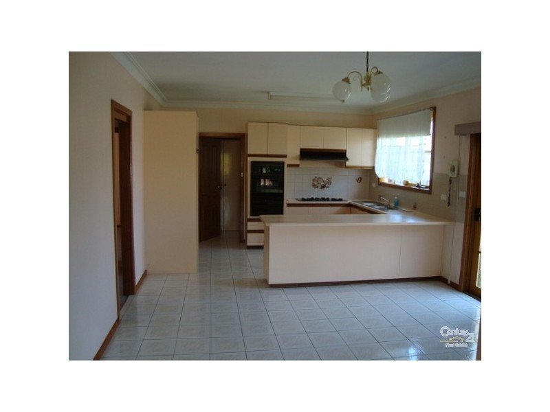 20 Linton Street, Moorabbin VIC 3189